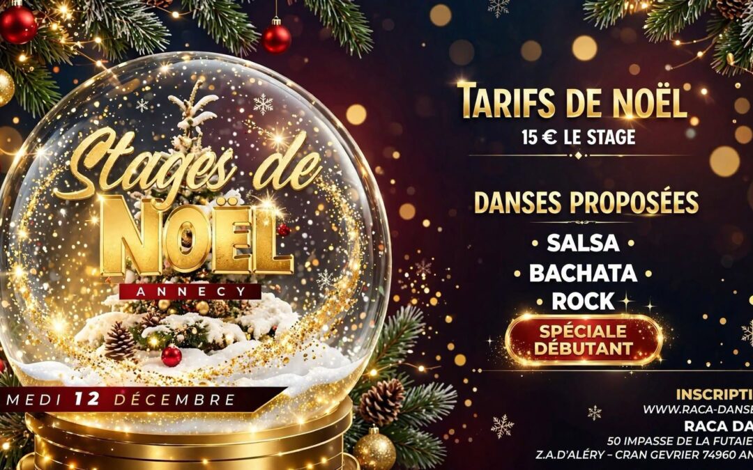 STAGES de NOEL  SPECIAL débutants SALSA BACHATA ROCK